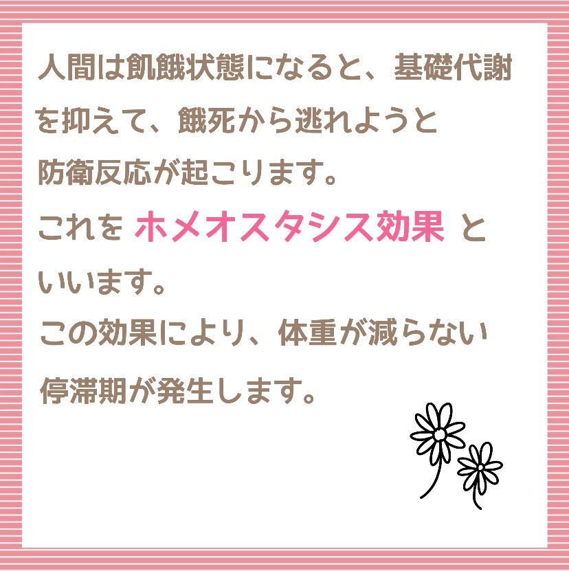 ホメオスタシス効果で停滞期撃退？！