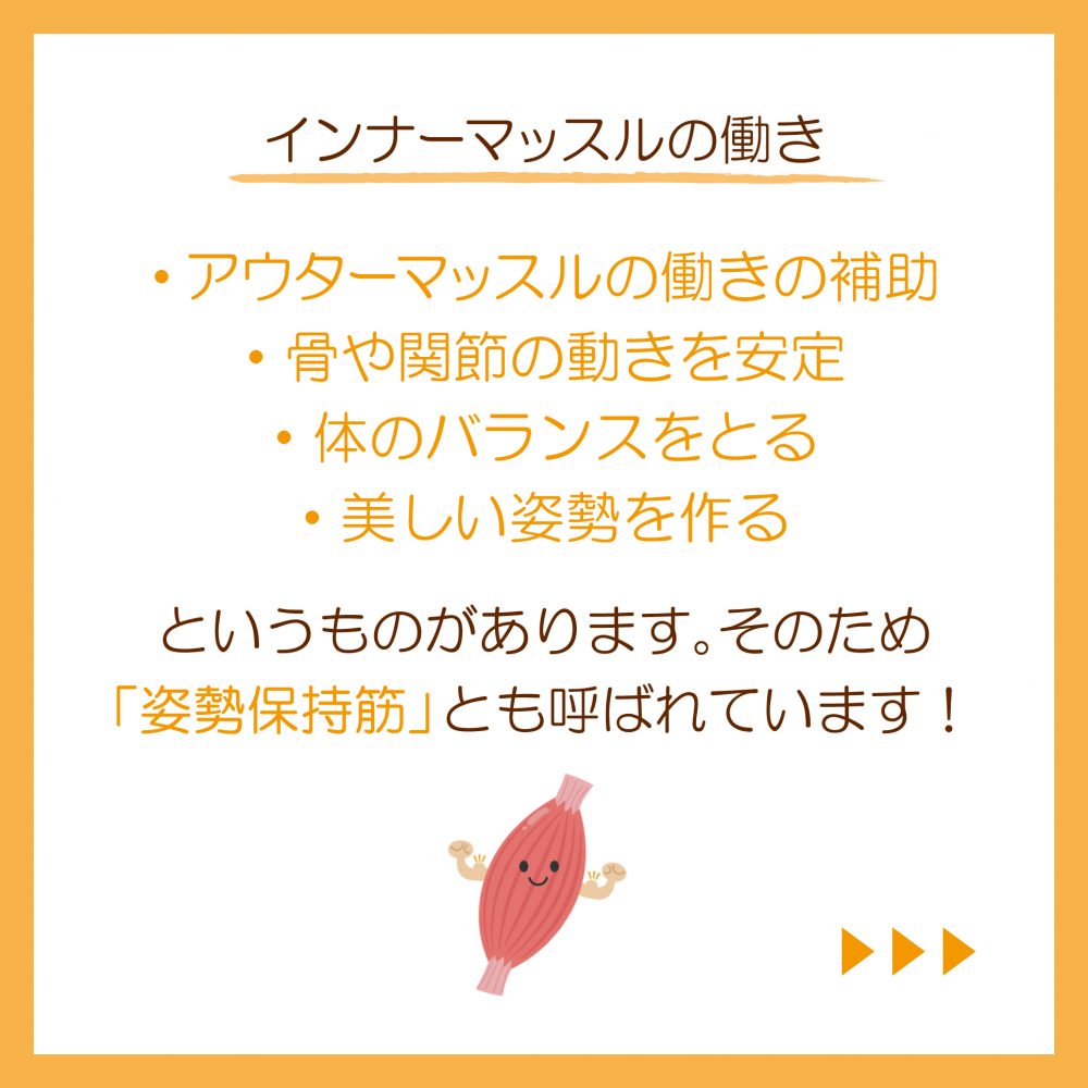 インナーマッスルとアウターマッスルの違い