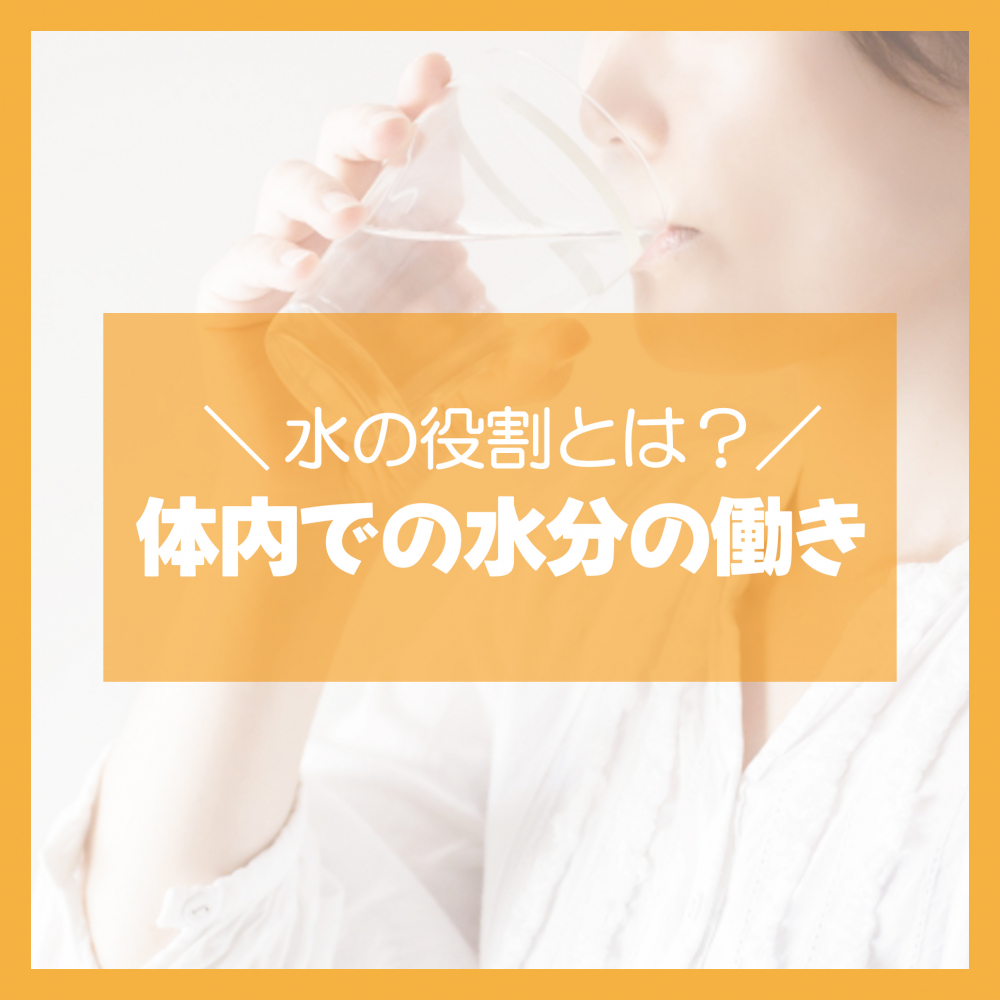 体内での水分の働き